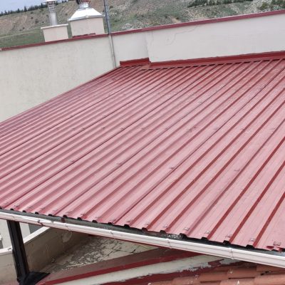 WhatsApp Image 2025-08-31 at 15.31.11